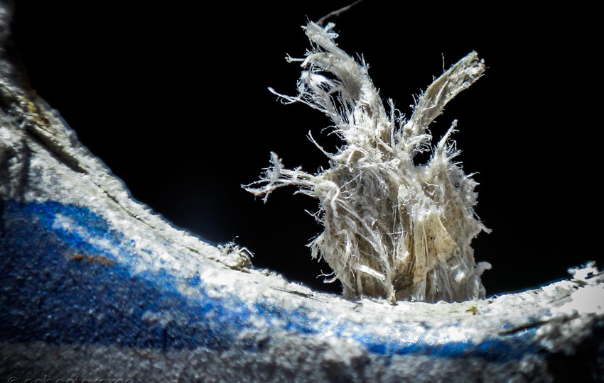 العاملين في الأسبست! asbest4 - العاملين في الأسبست!