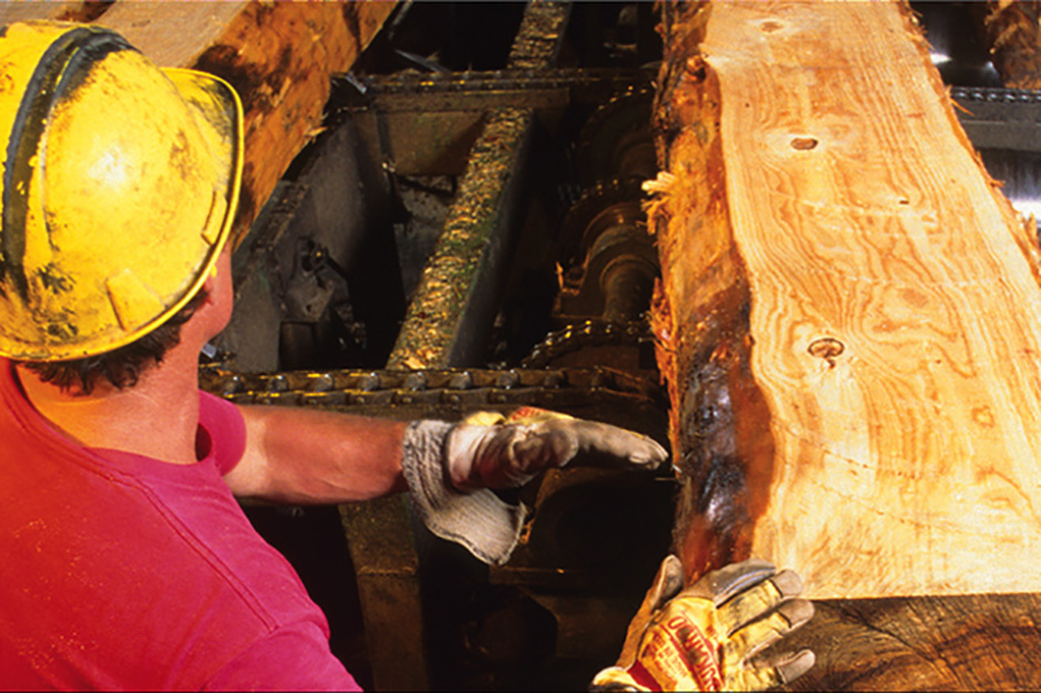 العاملون في مجال النجارة والموبيليا! orman urunleri - العاملون في مجال النجارة والموبيليا!