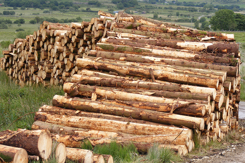 العاملون في مجال النجارة والموبيليا! orman urunleri3 - العاملون في مجال النجارة والموبيليا!