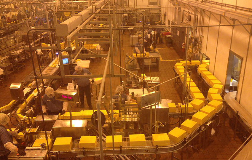 العاملون في مصانع الأجبان والألبان! peynir3 - العاملون في مصانع الأجبان والألبان!