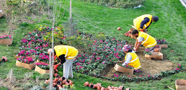 Bahçe işçilerinin meslek hastalığı: Lejyoner hastalığı bahce iscisi - Bahçe işçilerinin meslek hastalığı: Lejyoner hastalığı