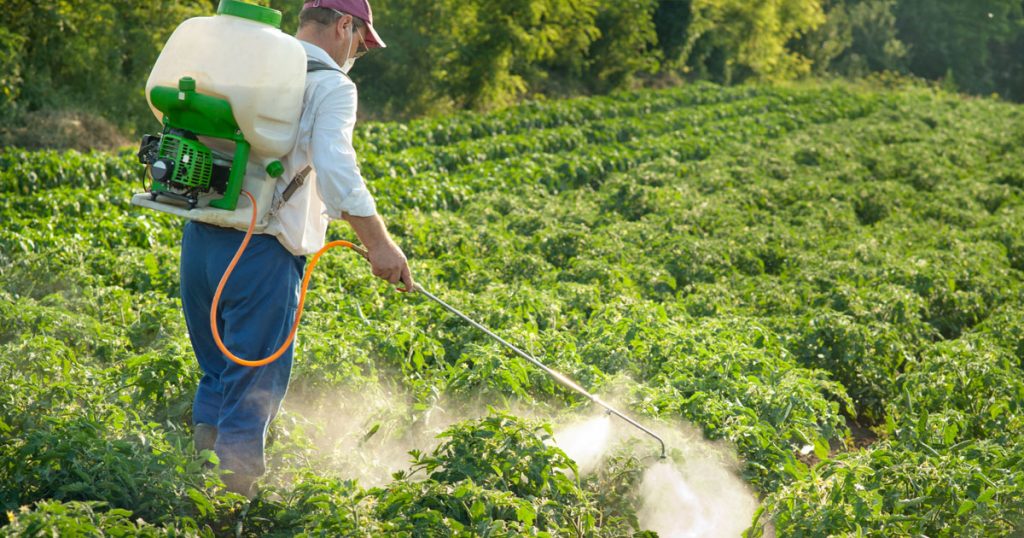 PESTİSİTLERE MARUZ KALMAK PARKINSON, ALZHEIMAR VE ALS HASTALIĞI RİSKİNİ ARTTIRIYOR. 2017 07 05 man spraying pesticide on field of plants 1024x538 - PESTİSİTLERE MARUZ KALMAK PARKINSON, ALZHEIMAR VE ALS HASTALIĞI RİSKİNİ ARTTIRIYOR.